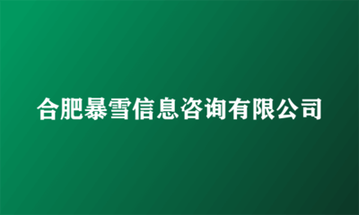 合肥暴雪信息咨询 金融外包服务的担当与合规运营之道