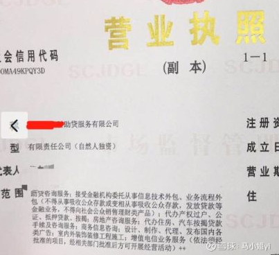 助贷服务为何备受青睐？——从金融机构委托外包的视角解析